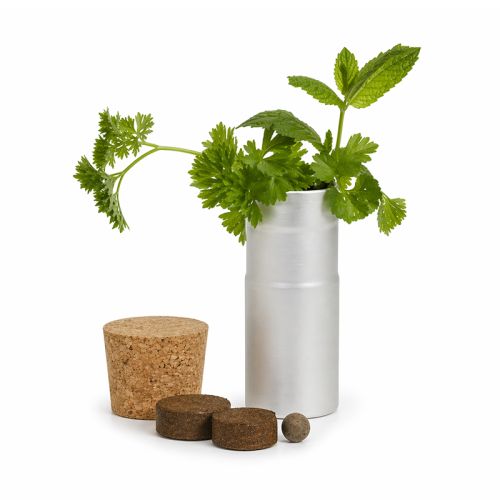 Jardin de bureau avec herbes aromatiques - image 2